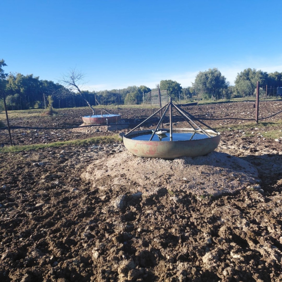 Commercial Property for Sale in Barkly West Rural Northern Cape